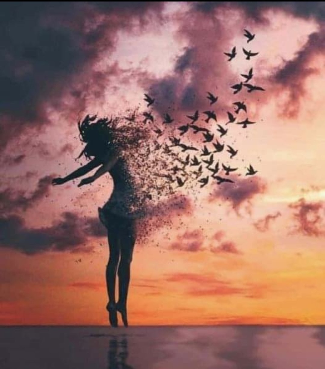 Welke diensten biedt Universie aan?